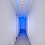 فندق ماكس بلاس 3*